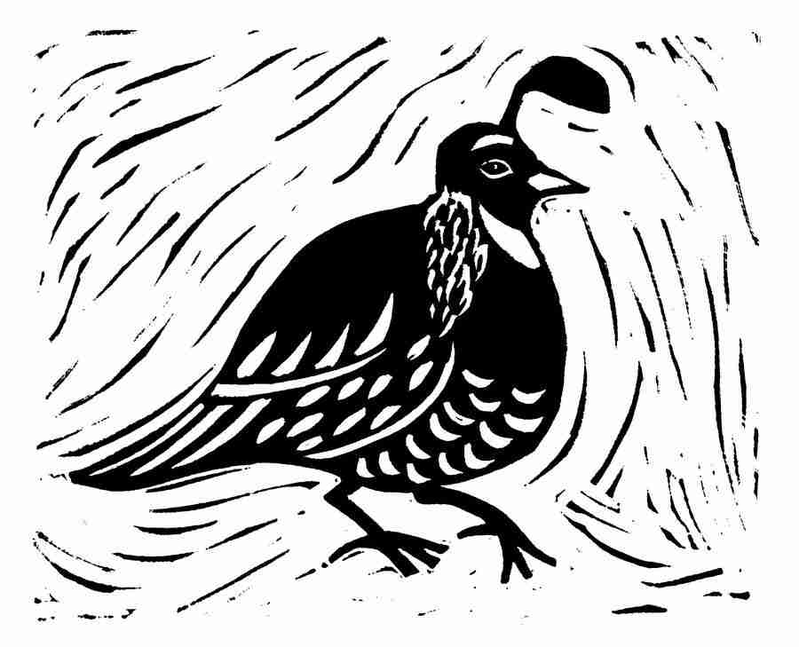 Natures Design Elements - Artville ></a>
<script language=JavaScript> 
  var txt = 