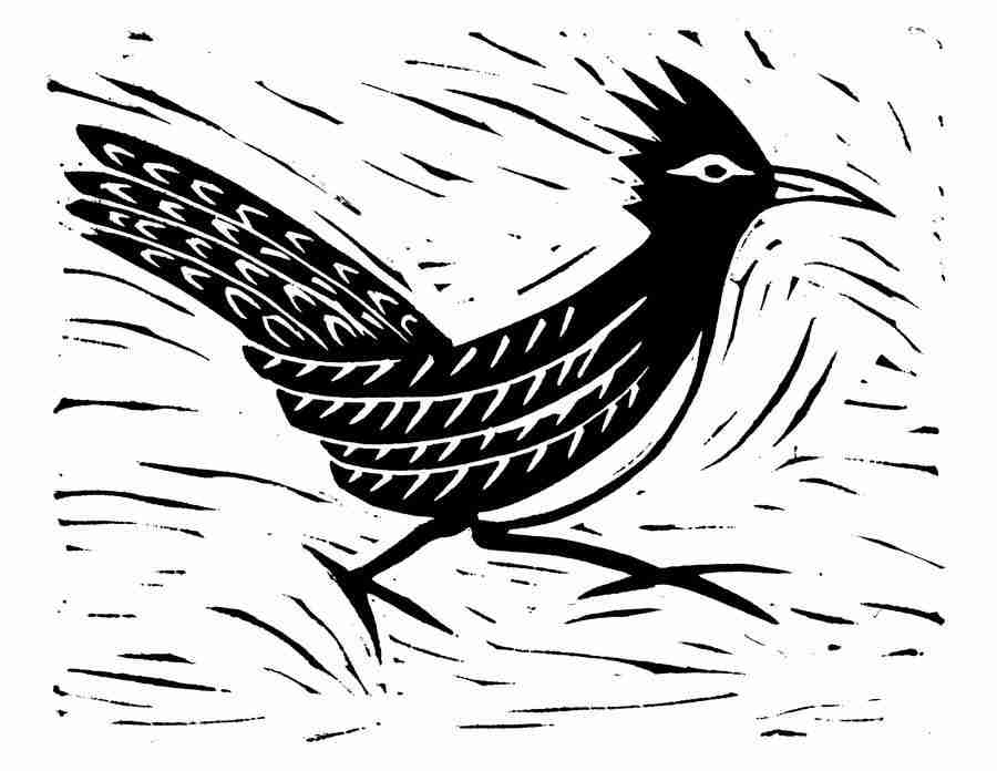 Natures Design Elements - Artville ></a>
<script language=JavaScript> 
  var txt = 