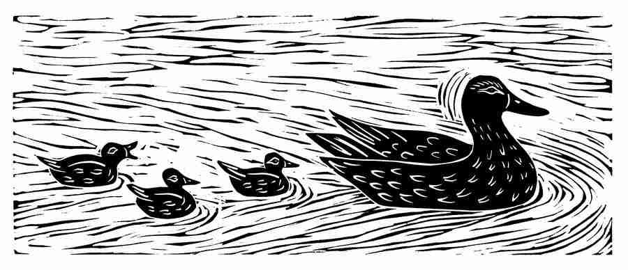 Natures Design Elements - Artville ></a>
<script language=JavaScript> 
  var txt = 