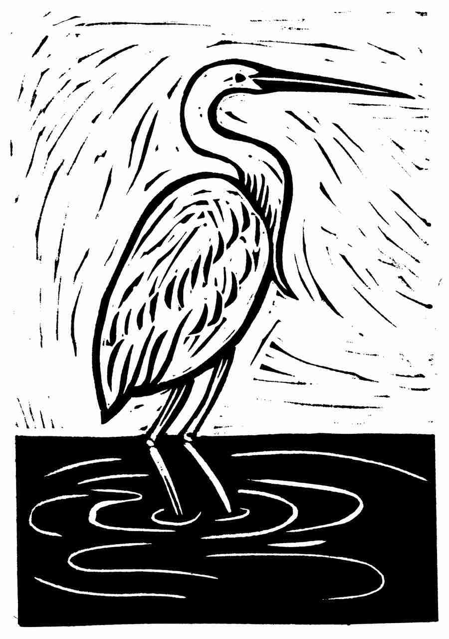 Natures Design Elements - Artville ></a>
<script language=JavaScript> 
  var txt = 