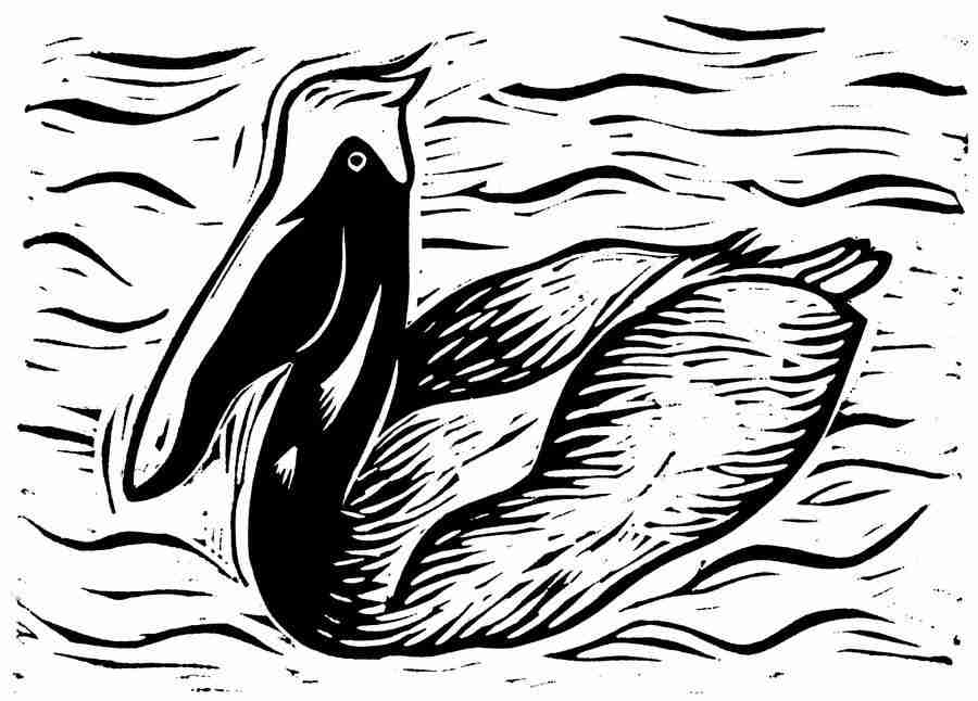 Natures Design Elements - Artville ></a>
<script language=JavaScript> 
  var txt = 