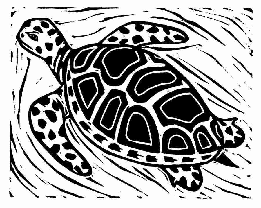 Natures Design Elements - Artville ></a>
<script language=JavaScript> 
  var txt = 