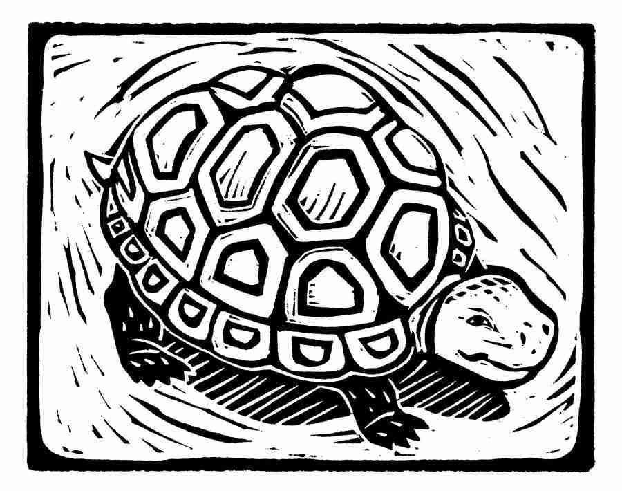 Natures Design Elements - Artville ></a>
<script language=JavaScript> 
  var txt = 