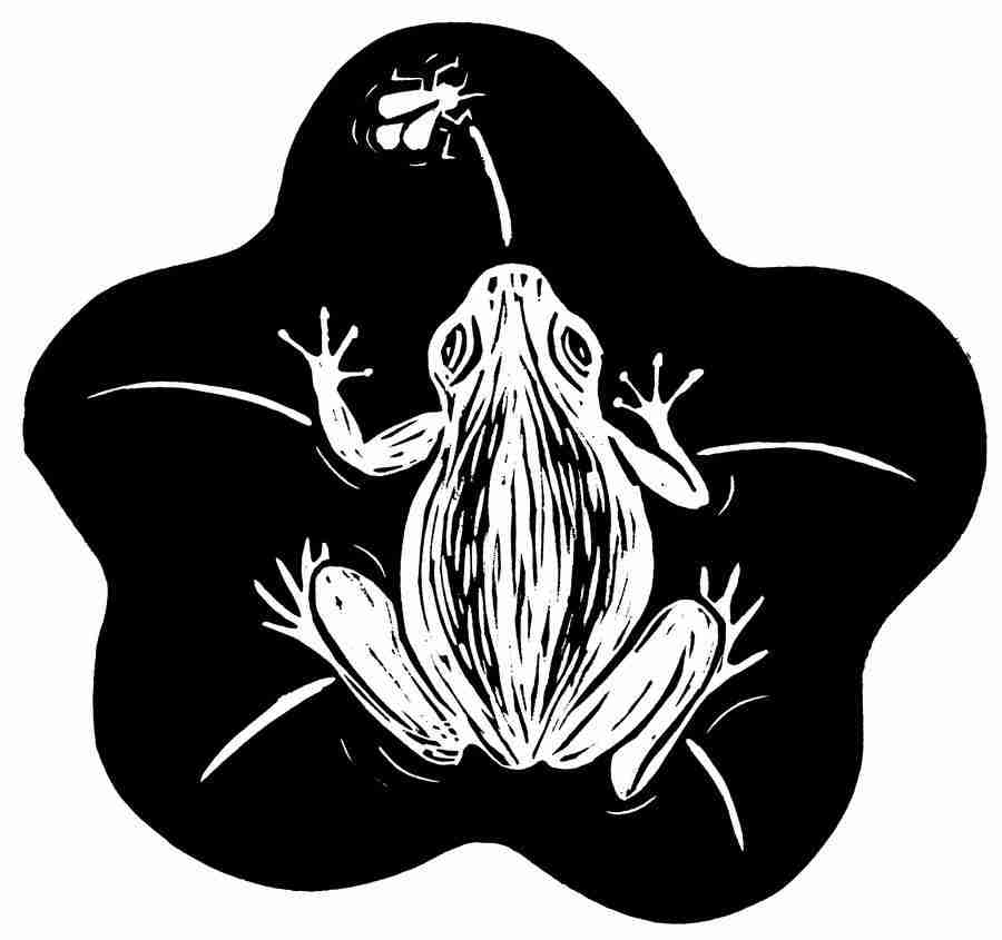 Natures Design Elements - Artville ></a>
<script language=JavaScript> 
  var txt = 