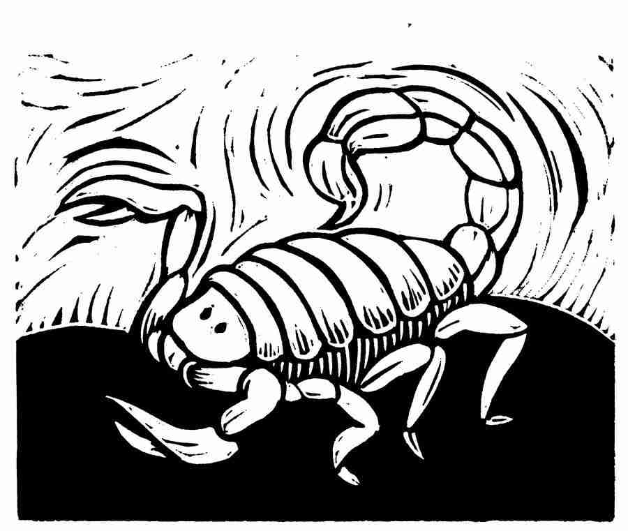 Natures Design Elements - Artville ></a>
<script language=JavaScript> 
  var txt = 