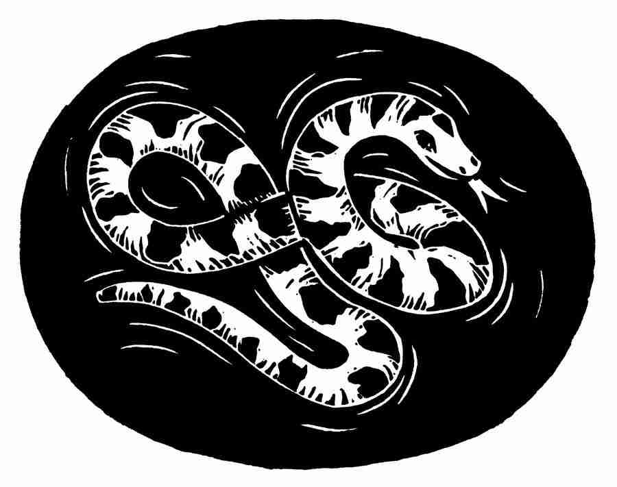 Natures Design Elements - Artville ></a>
<script language=JavaScript> 
  var txt = 