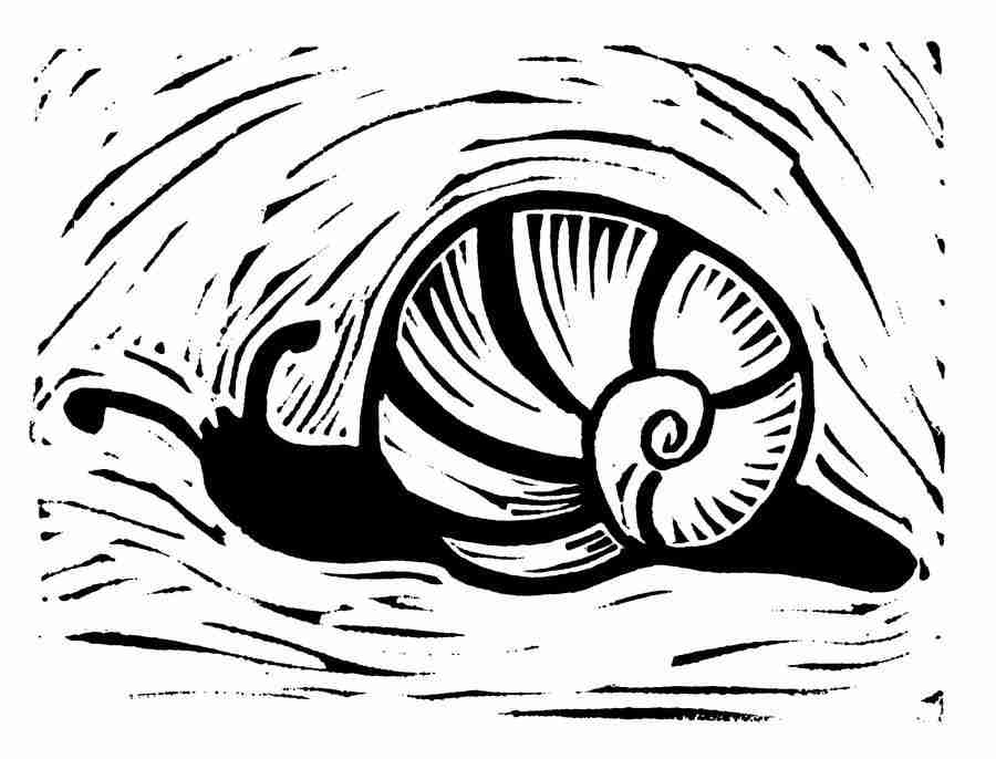 Natures Design Elements - Artville ></a>
<script language=JavaScript> 
  var txt = 