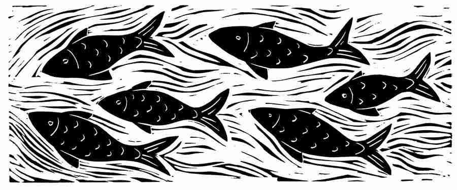 Natures Design Elements - Artville ></a>
<script language=JavaScript> 
  var txt = 