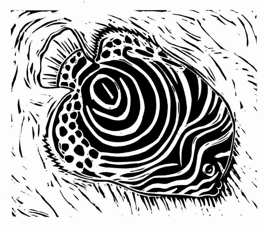 Natures Design Elements - Artville ></a>
<script language=JavaScript> 
  var txt = 