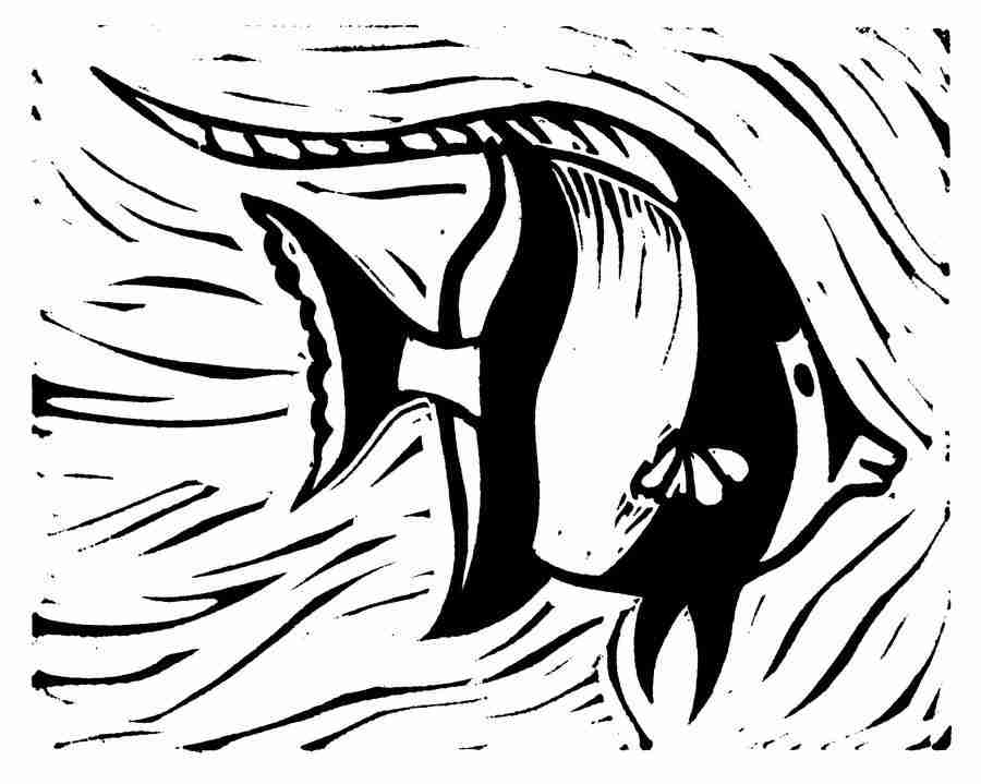 Natures Design Elements - Artville ></a>
<script language=JavaScript> 
  var txt = 