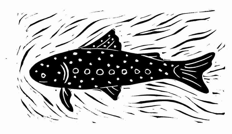 Natures Design Elements - Artville ></a>
<script language=JavaScript> 
  var txt = 