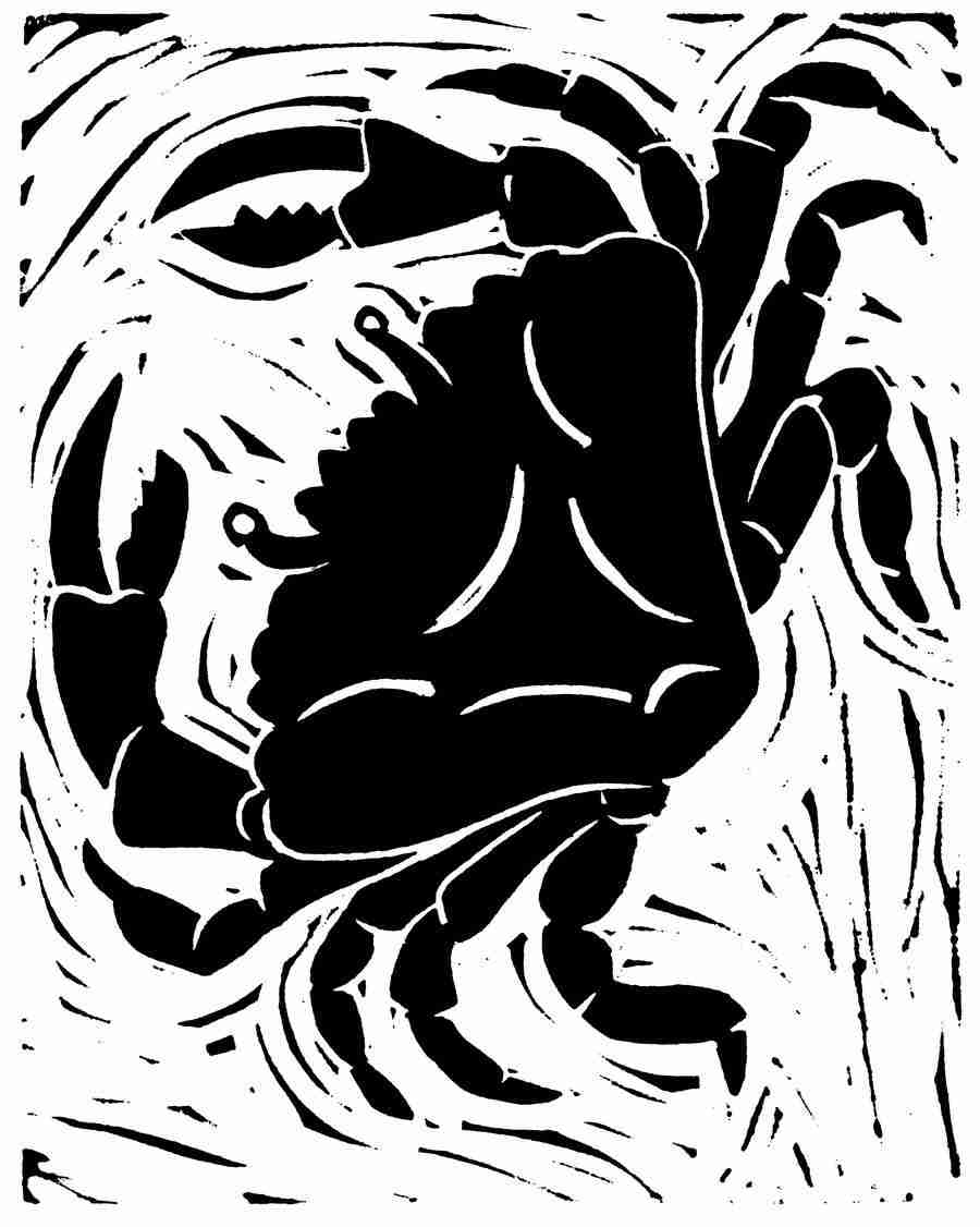 Natures Design Elements - Artville ></a>
<script language=JavaScript> 
  var txt = 