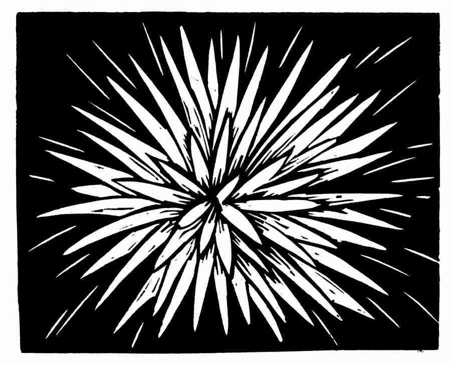 Natures Design Elements - Artville ></a>
<script language=JavaScript> 
  var txt = 