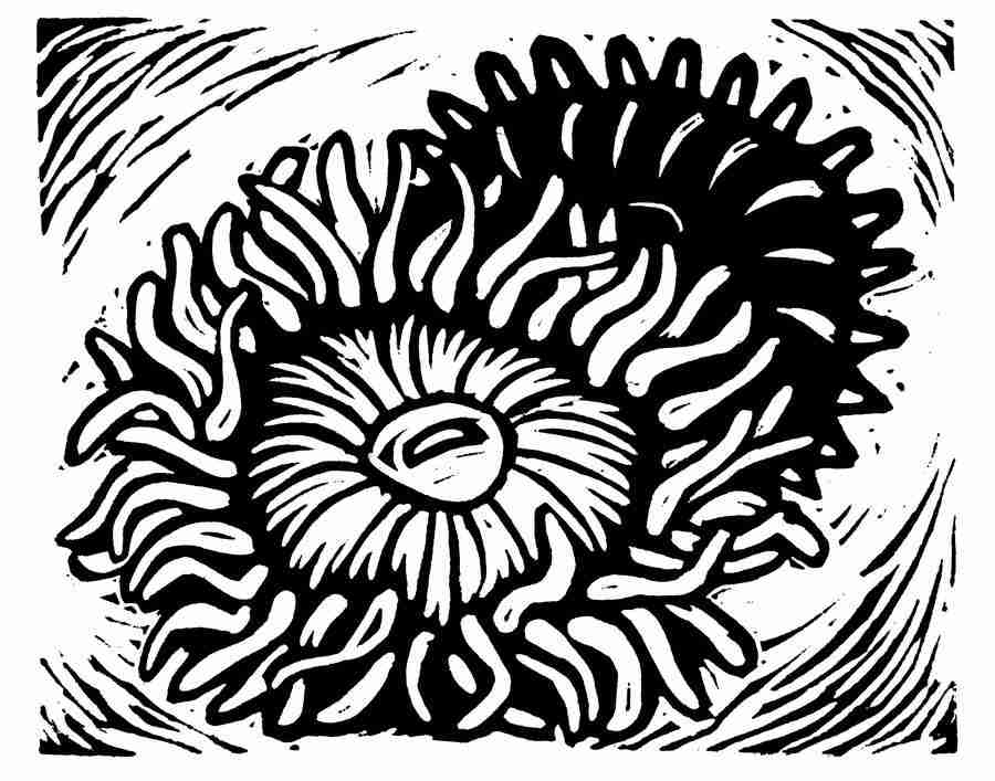 Natures Design Elements - Artville ></a>
<script language=JavaScript> 
  var txt = 