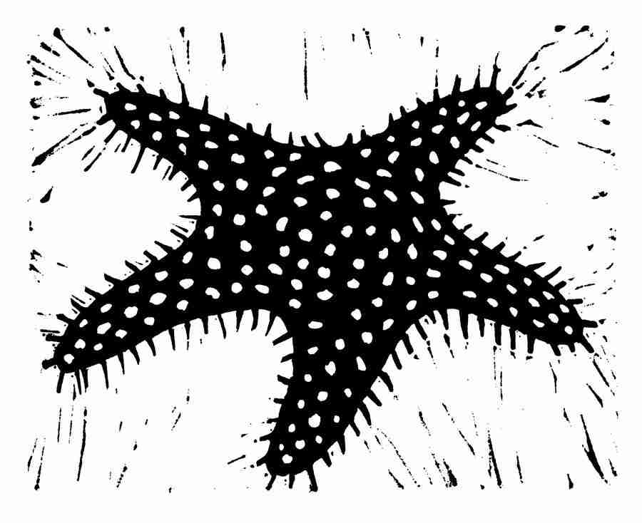 Natures Design Elements - Artville ></a>
<script language=JavaScript> 
  var txt = 