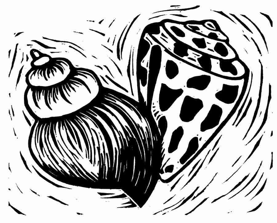 Natures Design Elements - Artville ></a>
<script language=JavaScript> 
  var txt = 