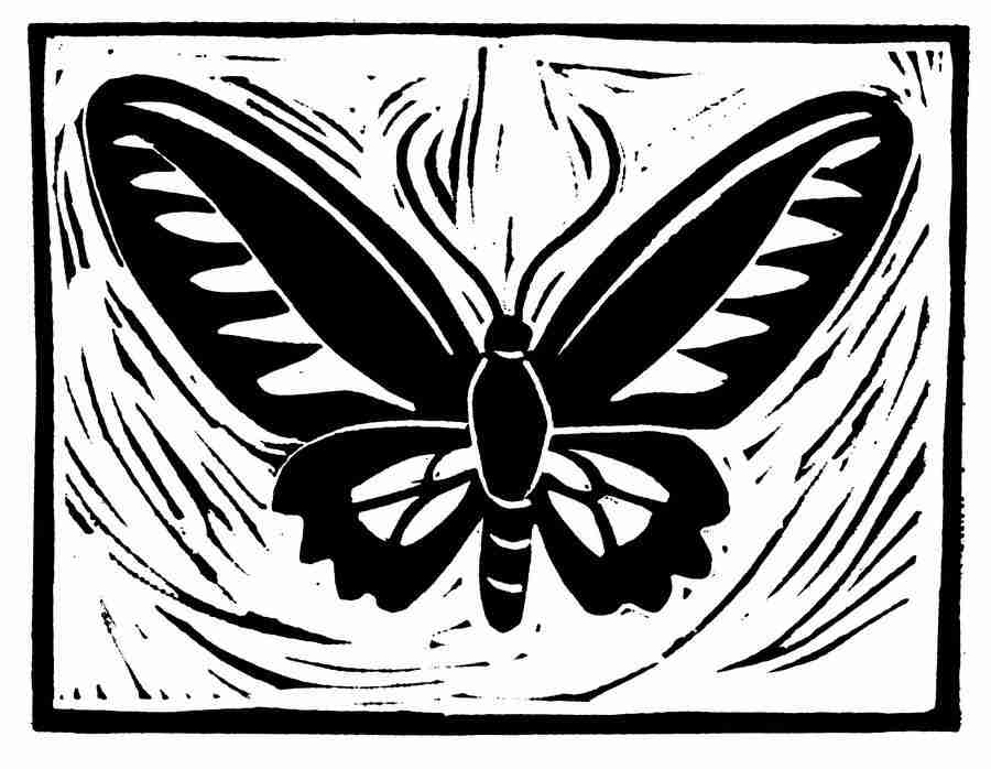 Natures Design Elements - Artville ></a>
<script language=JavaScript> 
  var txt = 