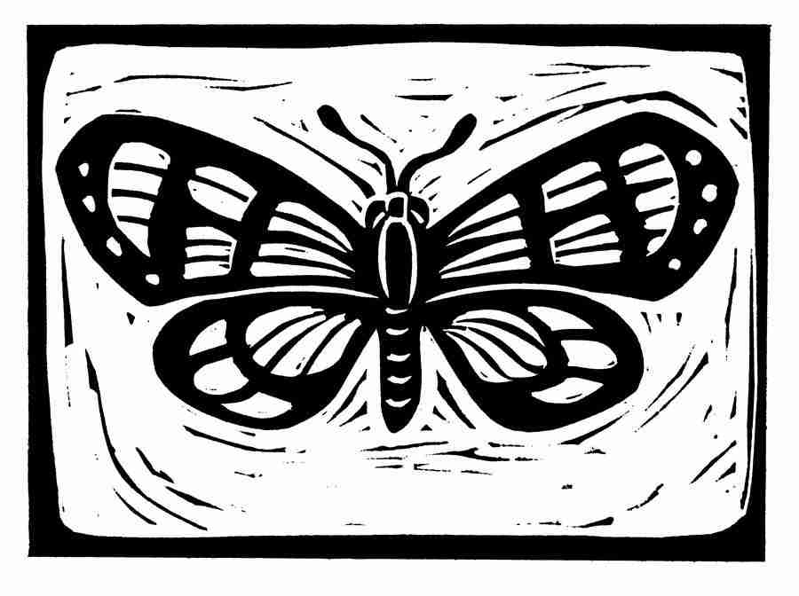 Natures Design Elements - Artville ></a>
<script language=JavaScript> 
  var txt = 