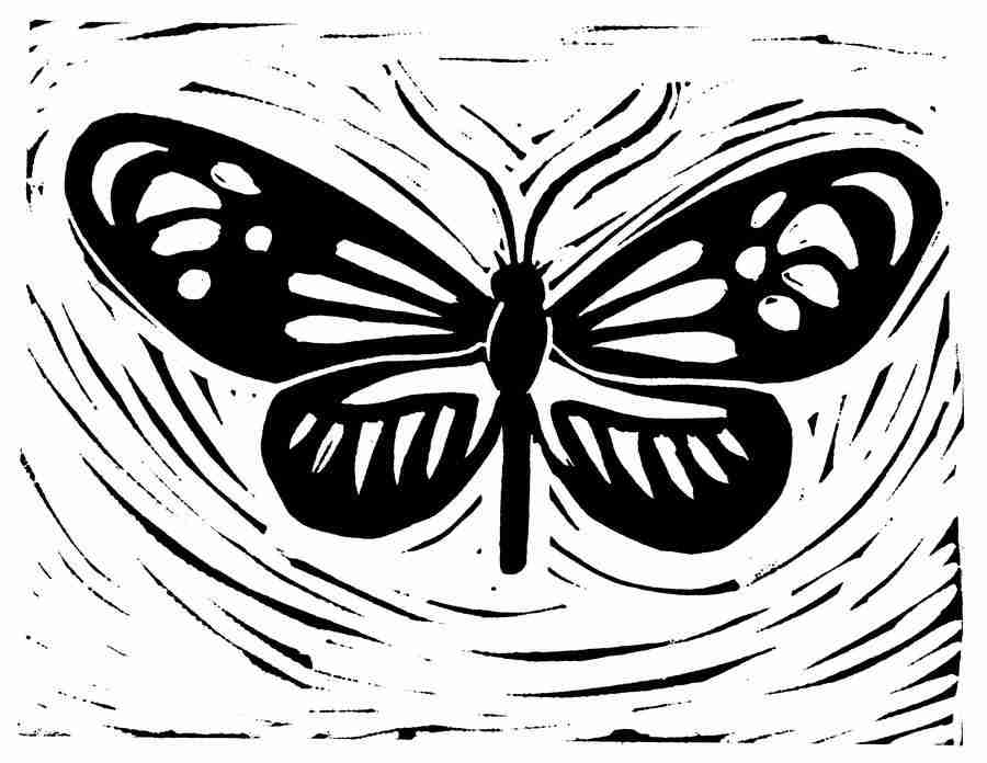 Natures Design Elements - Artville ></a>
<script language=JavaScript> 
  var txt = 