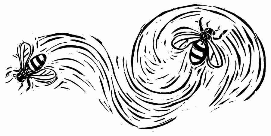 Natures Design Elements - Artville ></a>
<script language=JavaScript> 
  var txt = 