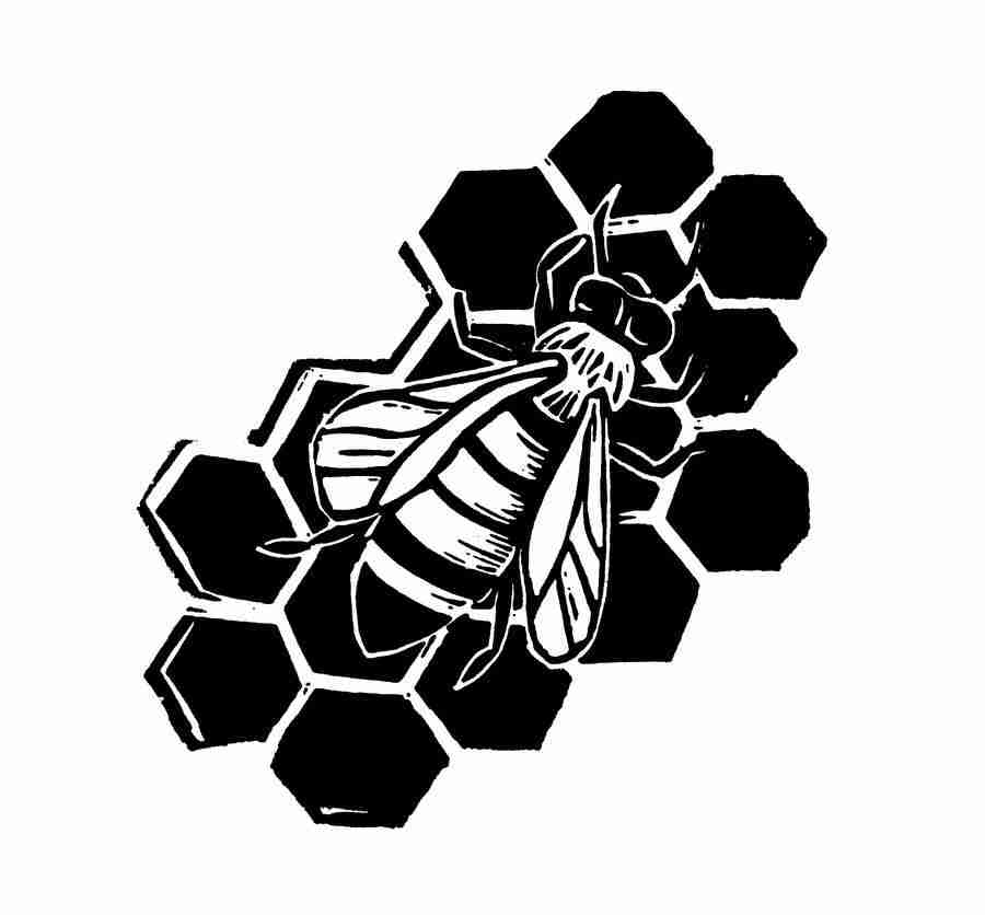 Natures Design Elements - Artville ></a>
<script language=JavaScript> 
  var txt = 