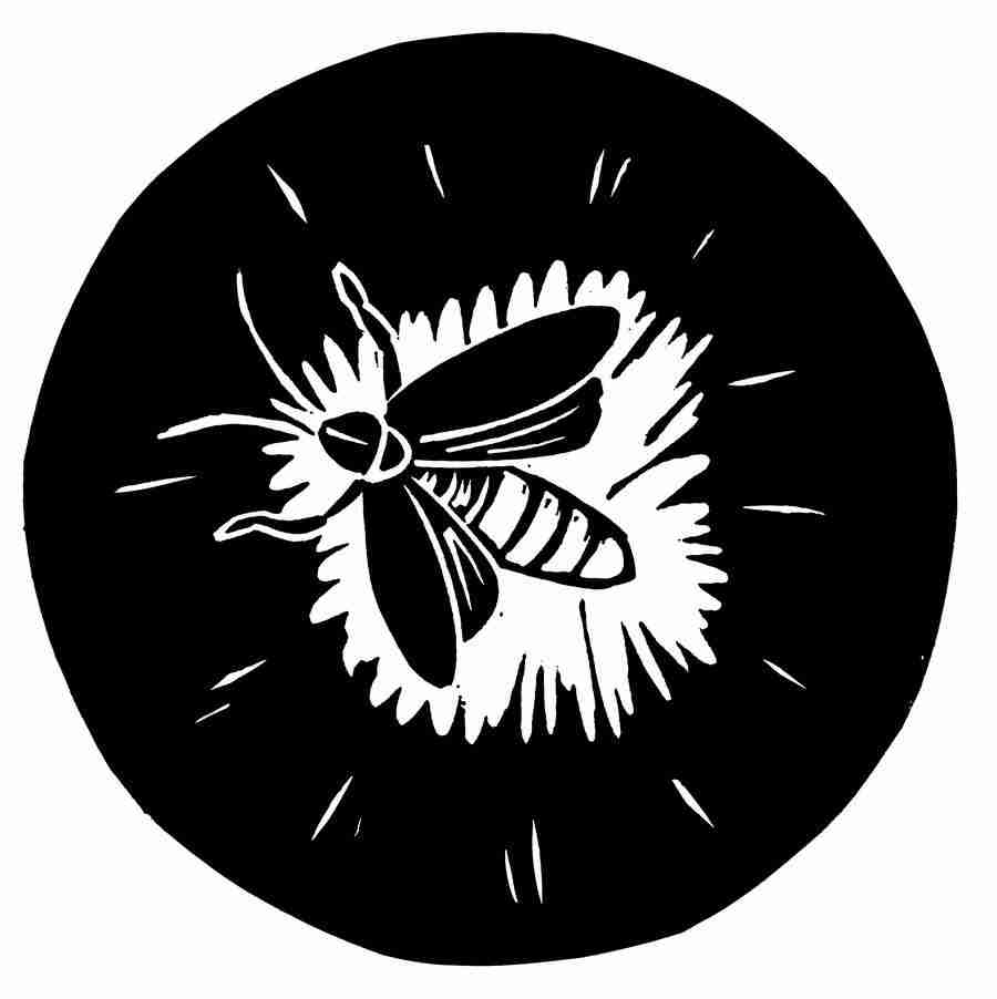 Natures Design Elements - Artville ></a>
<script language=JavaScript> 
  var txt = 