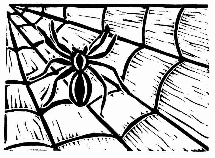 Natures Design Elements - Artville ></a>
<script language=JavaScript> 
  var txt = 