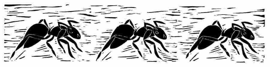 Natures Design Elements - Artville ></a>
<script language=JavaScript> 
  var txt = 