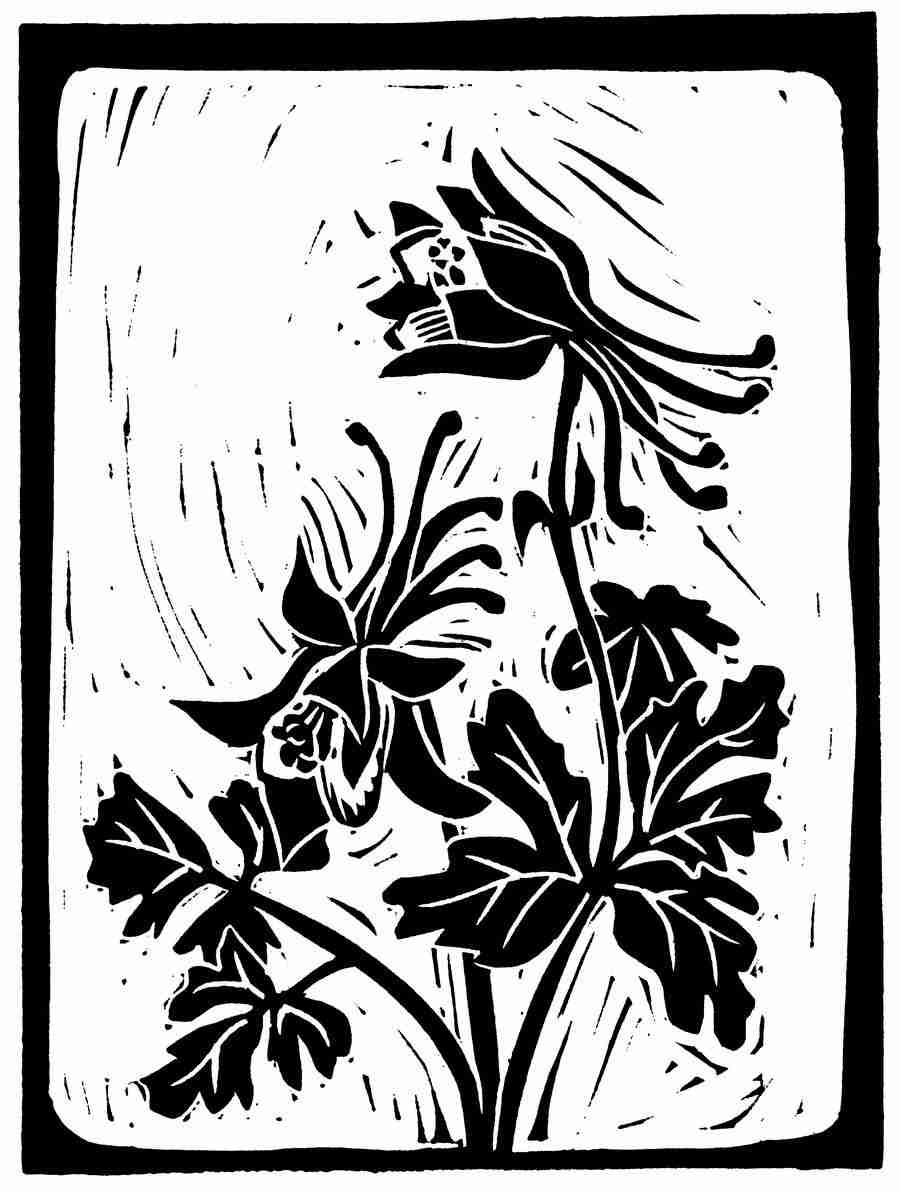 Natures Design Elements - Artville ></a>
<script language=JavaScript> 
  var txt = 