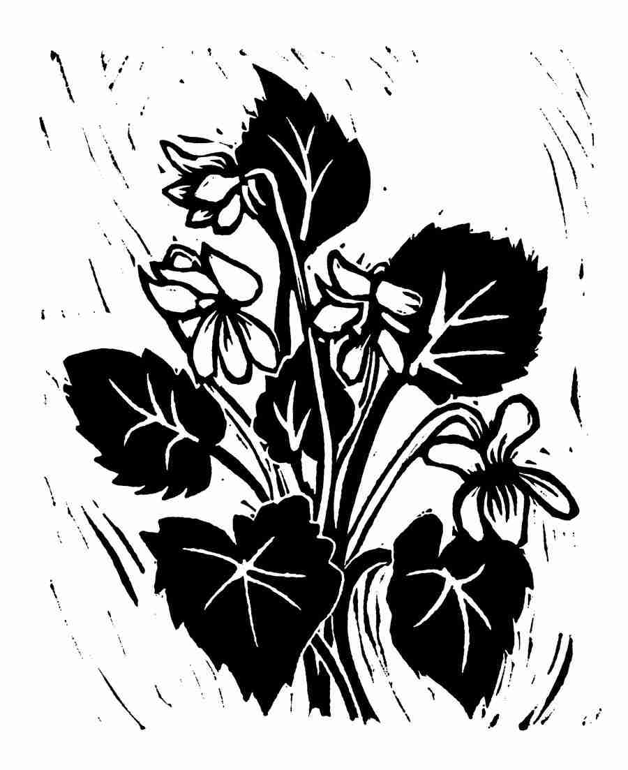 Natures Design Elements - Artville ></a>
<script language=JavaScript> 
  var txt = 