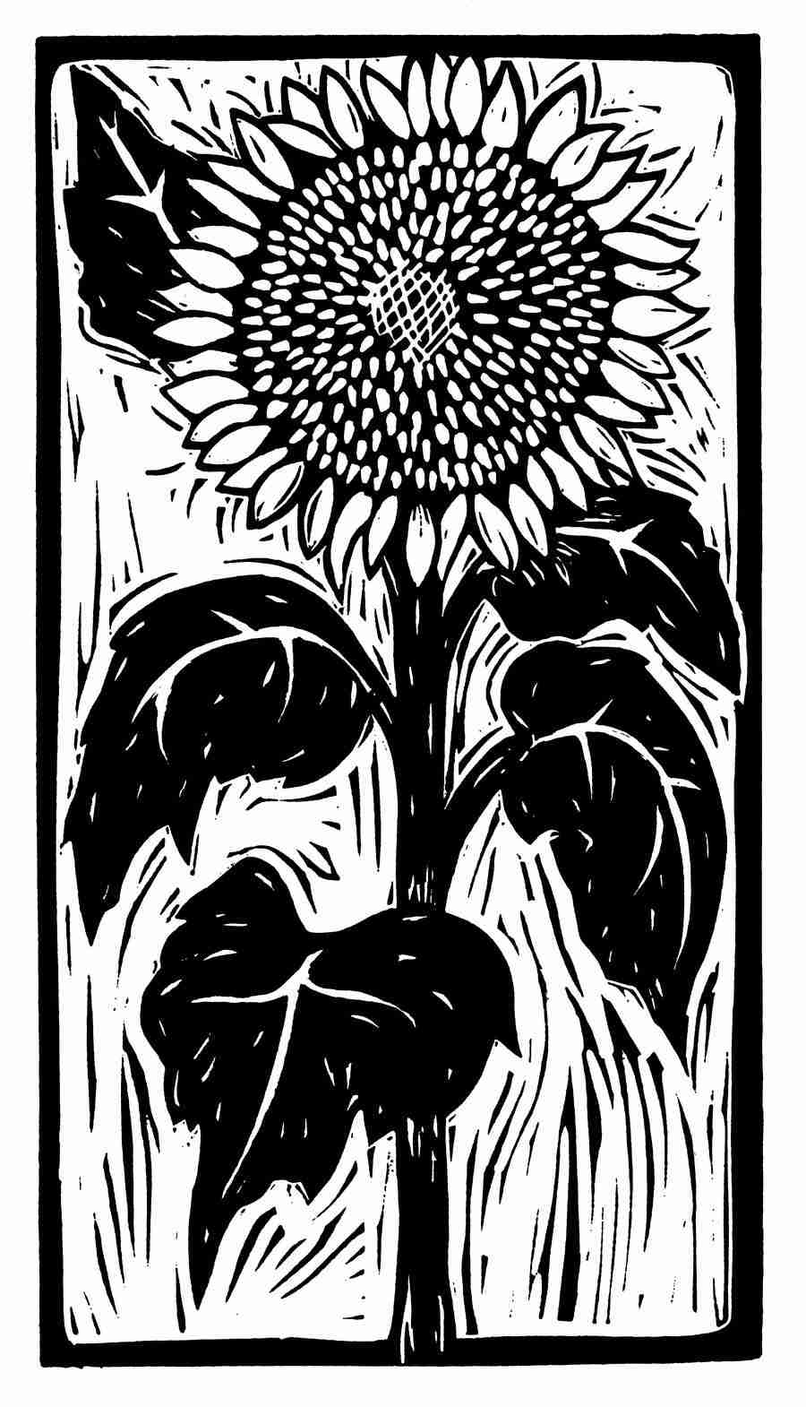 Natures Design Elements - Artville ></a>
<script language=JavaScript> 
  var txt = 