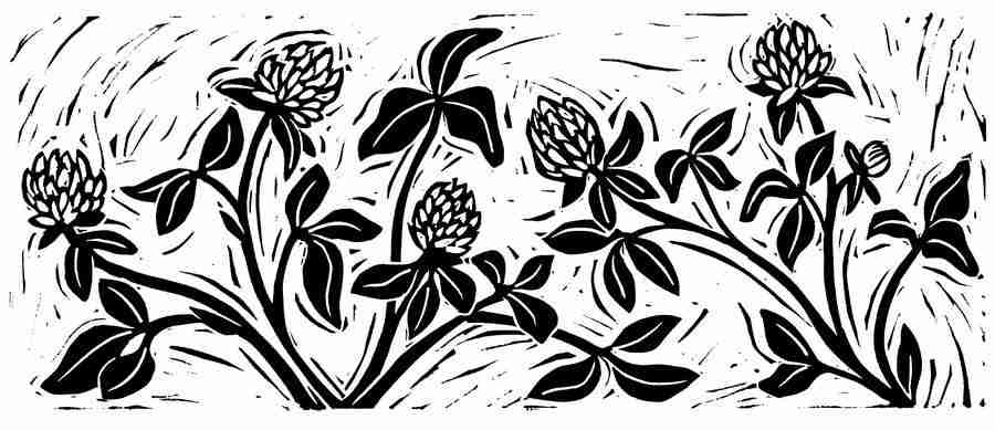 Natures Design Elements - Artville ></a>
<script language=JavaScript> 
  var txt = 