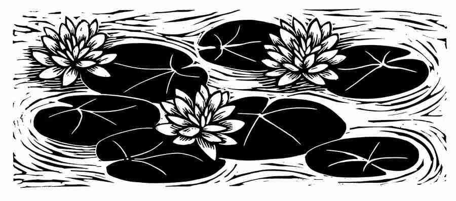 Natures Design Elements - Artville ></a>
<script language=JavaScript> 
  var txt = 