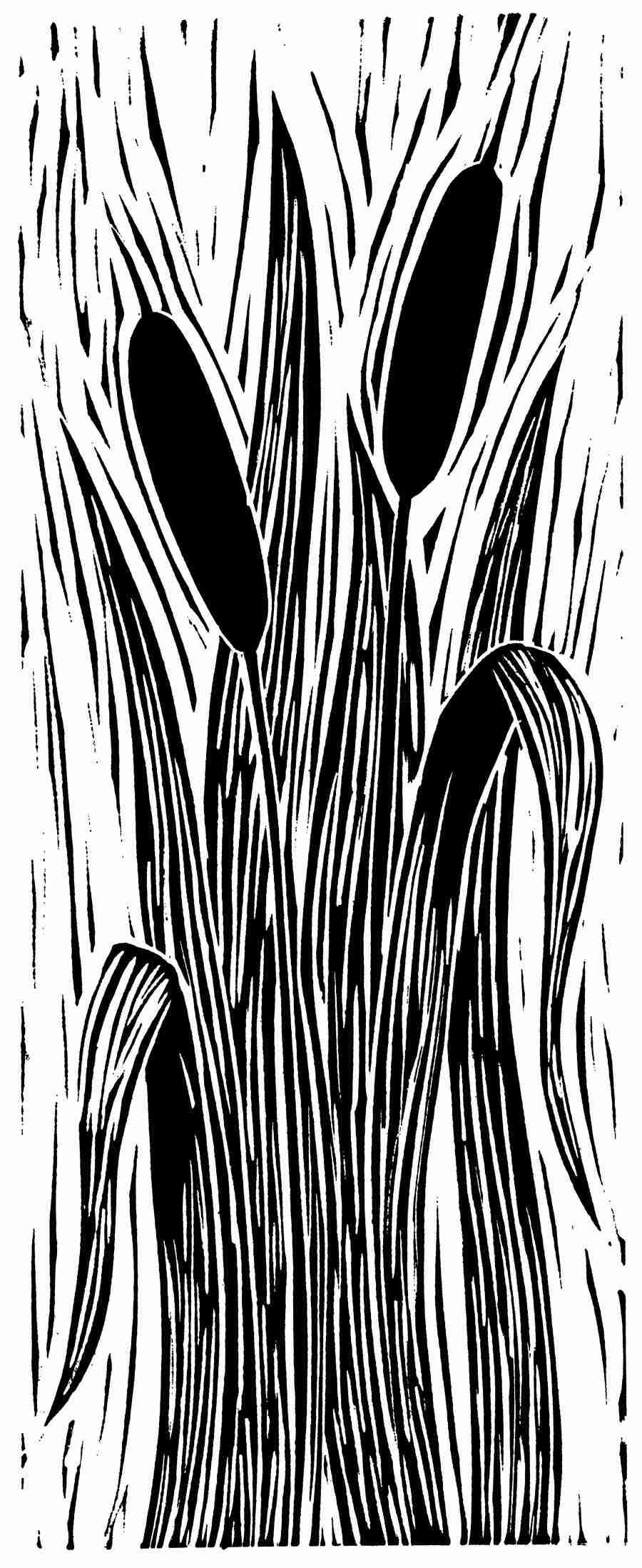 Natures Design Elements - Artville ></a>
<script language=JavaScript> 
  var txt = 