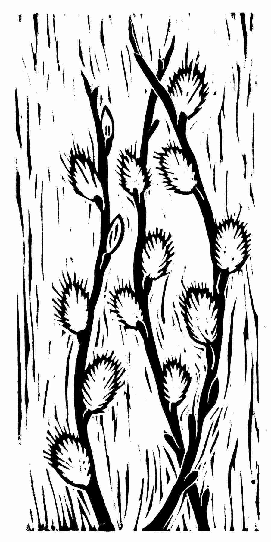 Natures Design Elements - Artville ></a>
<script language=JavaScript> 
  var txt = 