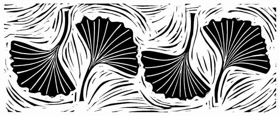 Natures Design Elements - Artville ></a>
<script language=JavaScript> 
  var txt = 