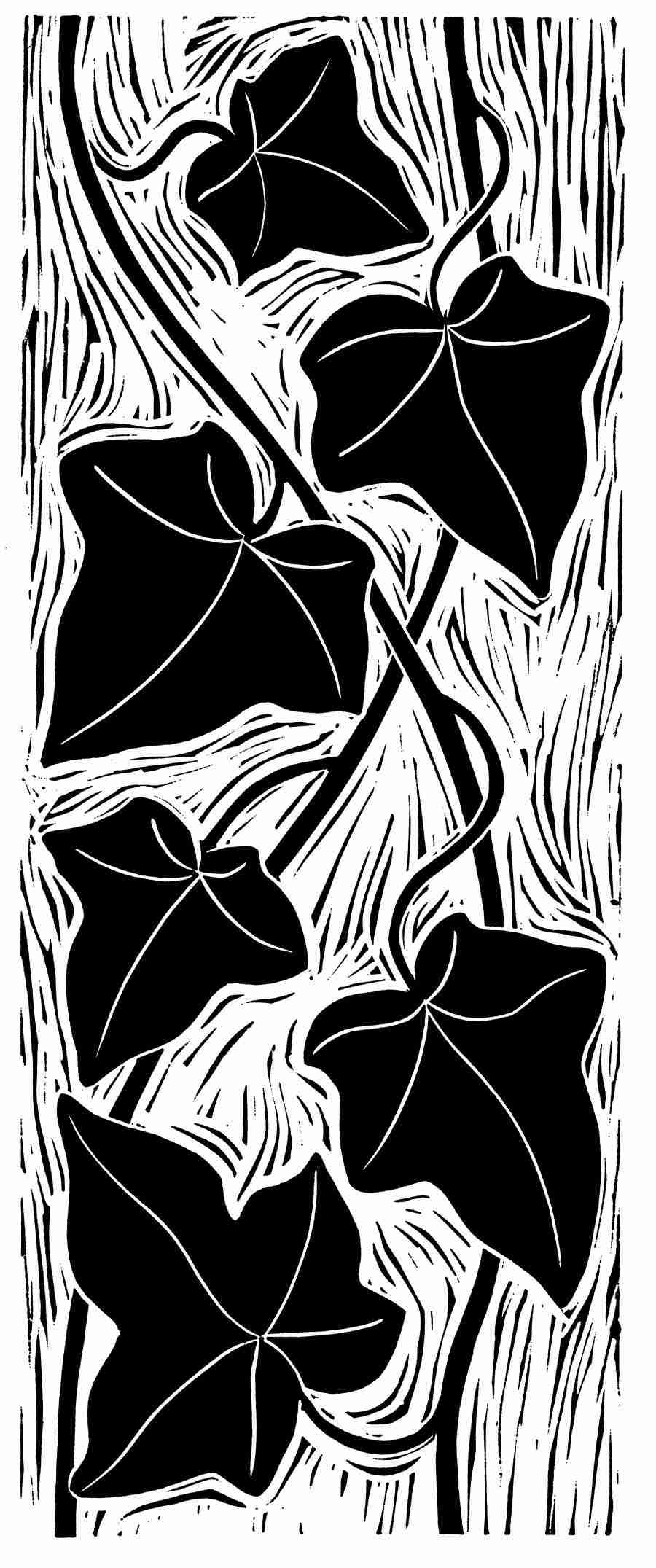 Natures Design Elements - Artville ></a>
<script language=JavaScript> 
  var txt = 