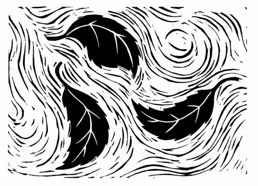 Natures Design Elements - Artville ></a>
<script language=JavaScript> 
  var txt = 