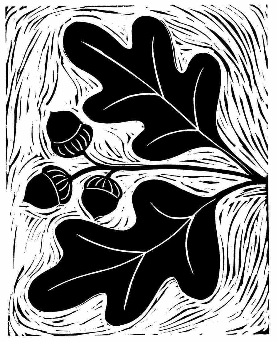 Natures Design Elements - Artville ></a>
<script language=JavaScript> 
  var txt = 