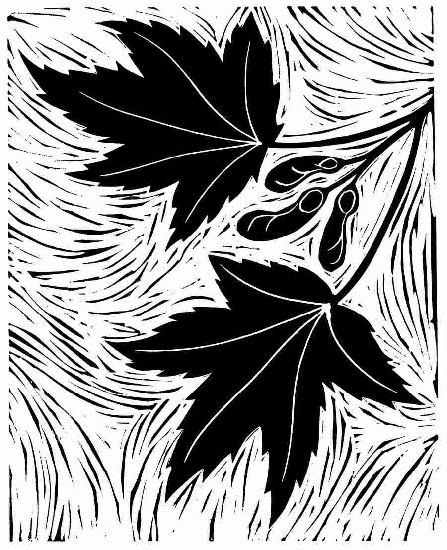 Natures Design Elements - Artville ></a>
<script language=JavaScript> 
  var txt = 