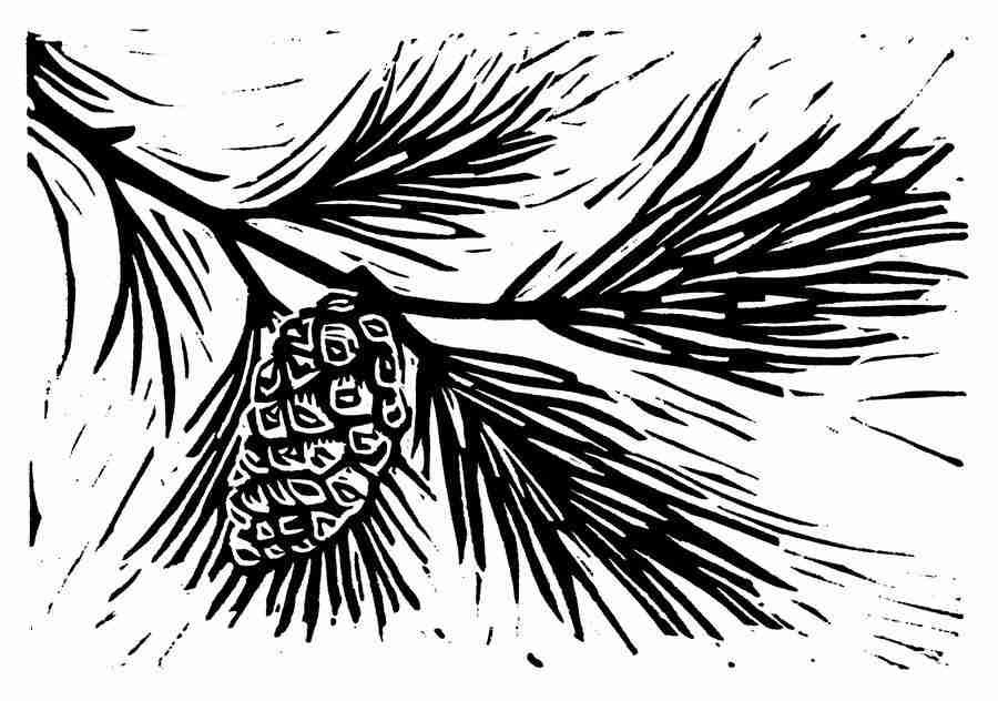 Natures Design Elements - Artville ></a>
<script language=JavaScript> 
  var txt = 