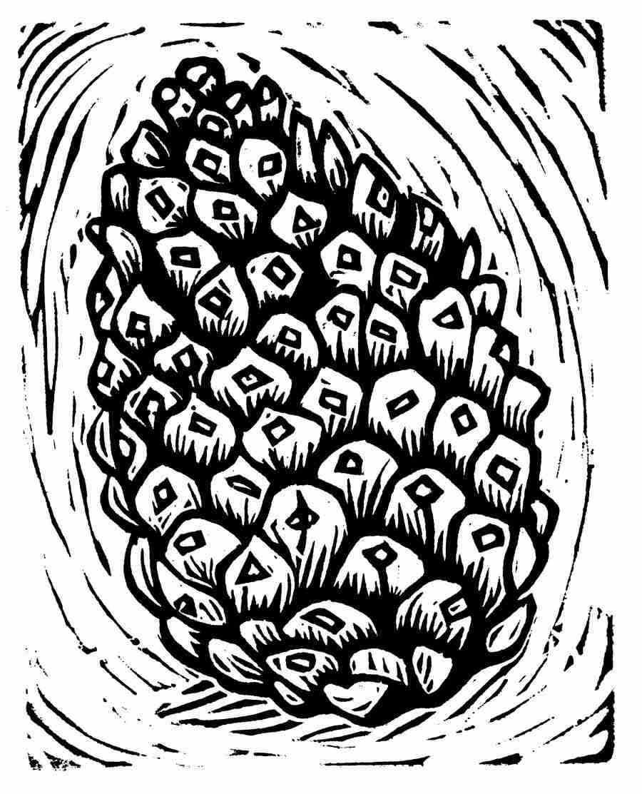 Natures Design Elements - Artville ></a>
<script language=JavaScript> 
  var txt = 