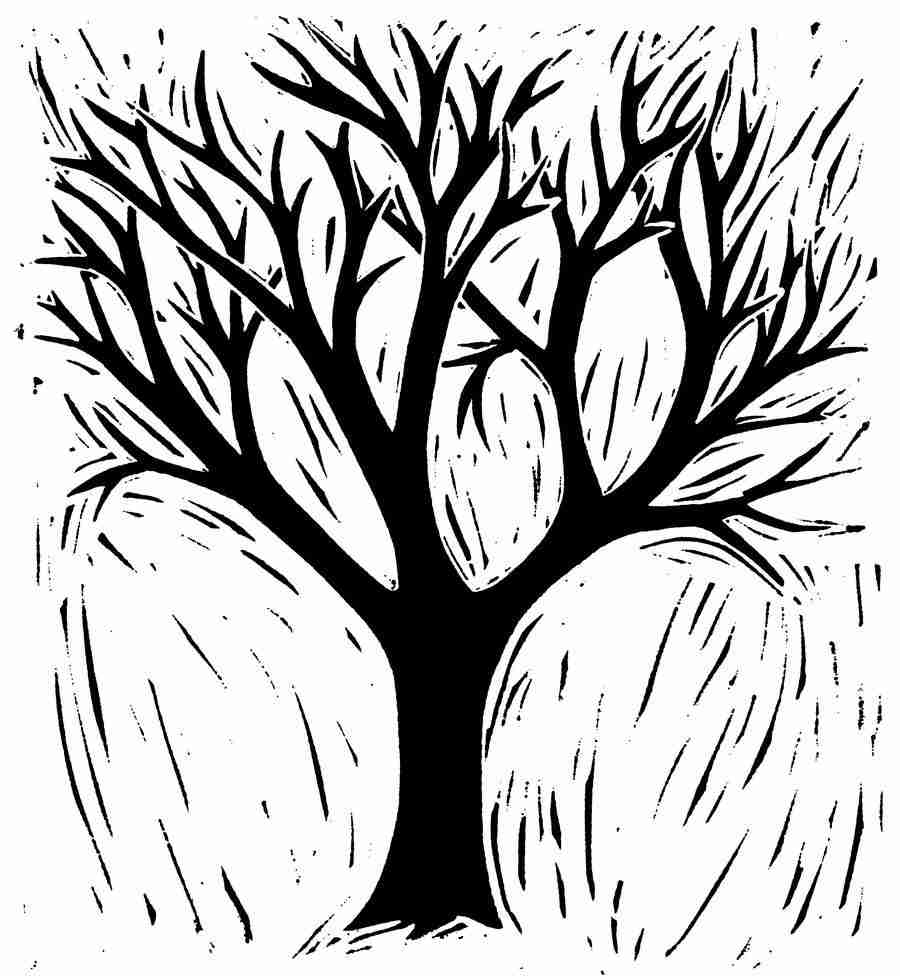 Natures Design Elements - Artville ></a>
<script language=JavaScript> 
  var txt = 