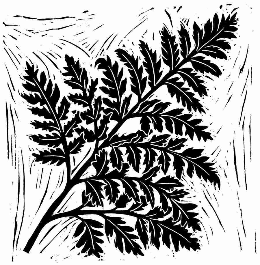 Natures Design Elements - Artville ></a>
<script language=JavaScript> 
  var txt = 