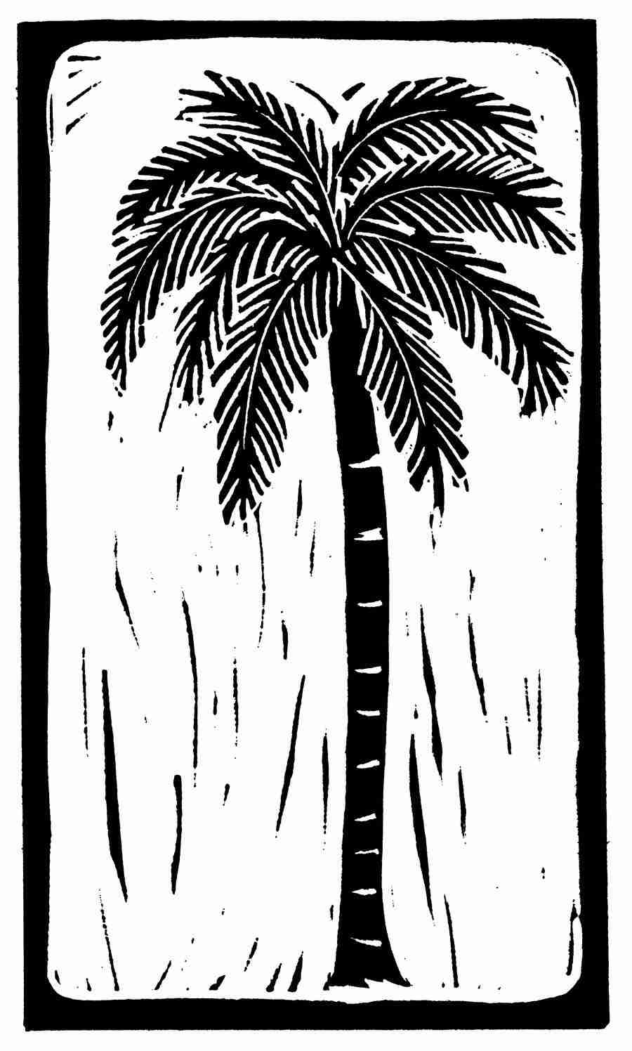 Natures Design Elements - Artville ></a>
<script language=JavaScript> 
  var txt = 