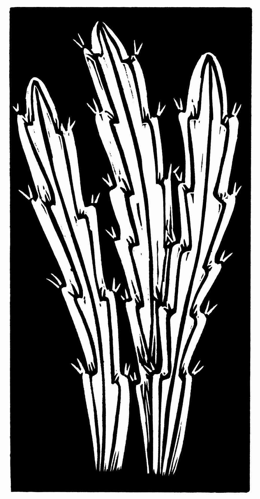 Natures Design Elements - Artville ></a>
<script language=JavaScript> 
  var txt = 