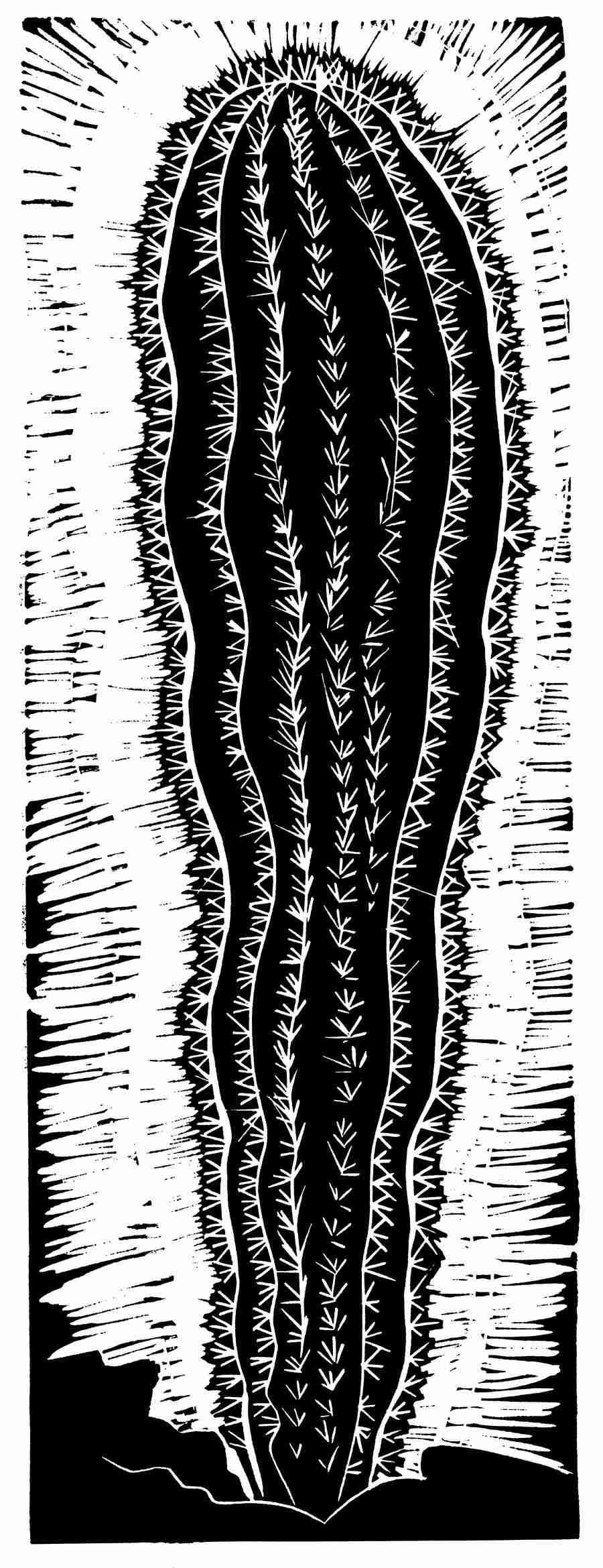 Natures Design Elements - Artville ></a>
<script language=JavaScript> 
  var txt = 