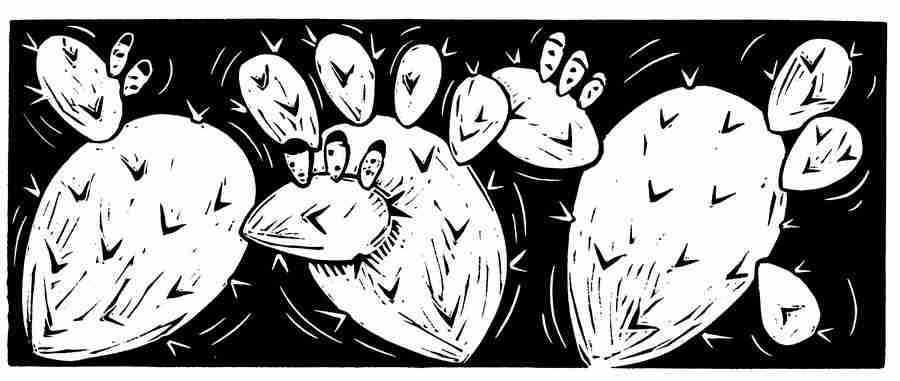 Natures Design Elements - Artville ></a>
<script language=JavaScript> 
  var txt = 