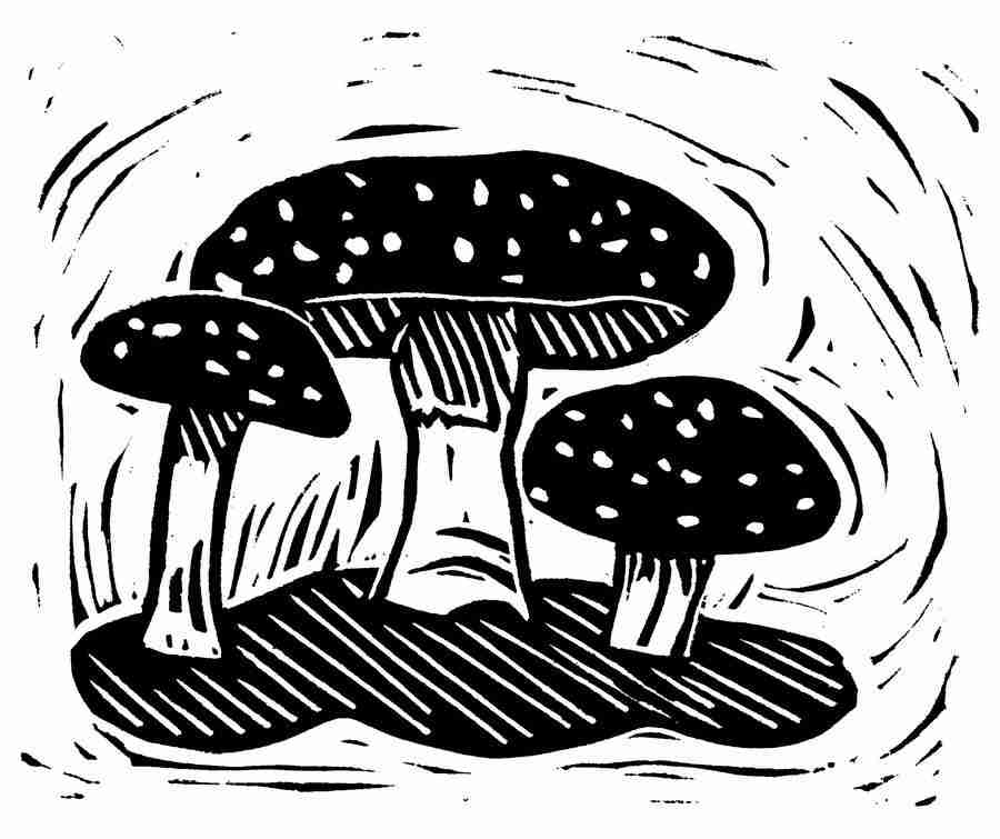 Natures Design Elements - Artville ></a>
<script language=JavaScript> 
  var txt = 