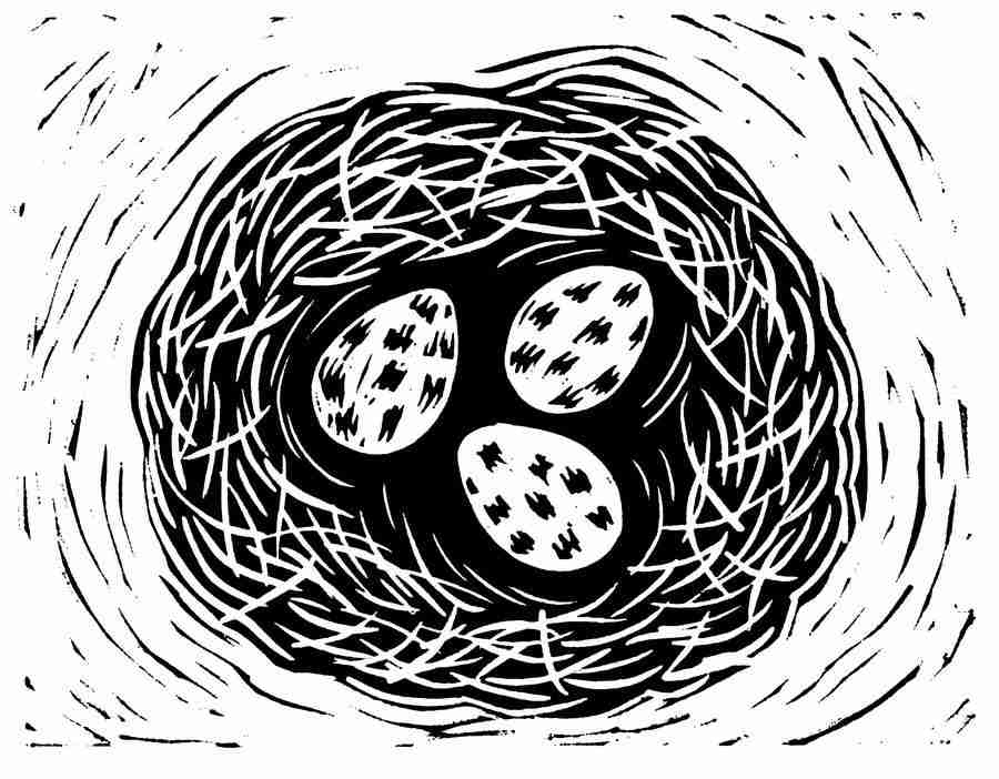 Natures Design Elements - Artville ></a>
<script language=JavaScript> 
  var txt = 